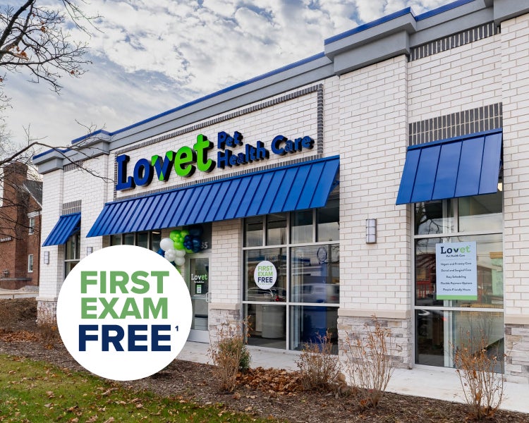 The outside entrance to Lovet Breton Animal hospital, with a sticker indicating the first exam free promo.