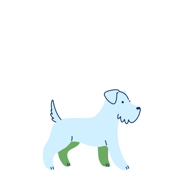 Illustration of a young puppy representing early growth and initial vaccination timing at 6–8 weeks.