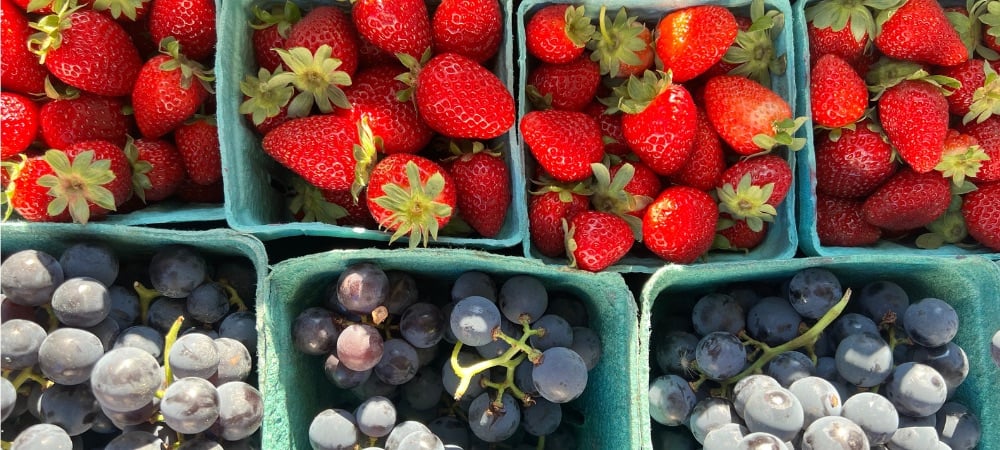 McHenry, IL farmers markets are back! What it means for your smile