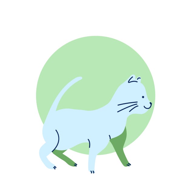 Illustration of a slightly older kitten walking, representing the next stage in a kitten’s vaccine schedule.