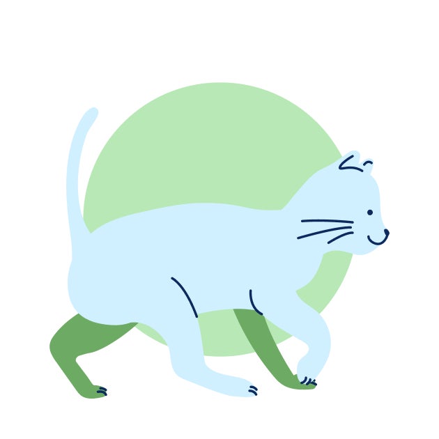Illustration of a growing kitten walking forward, representing a mid-stage in a kitten’s vaccine schedule.