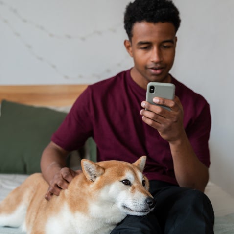 A pet parent pets a Shiba Inu and looks at their phone with concern.