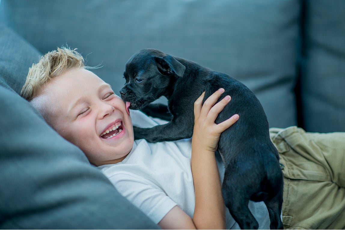 A little boy lays on a couch while a black puppy licks his cheek.