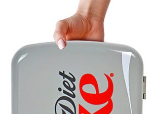 portable mini fridge