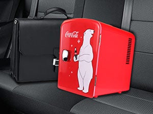 portable mini cooler