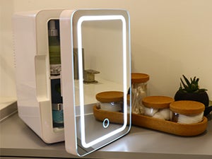 portable mini fridge