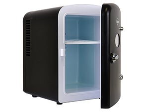 portable mini fridge