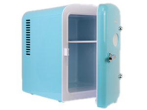 portable mini fridge