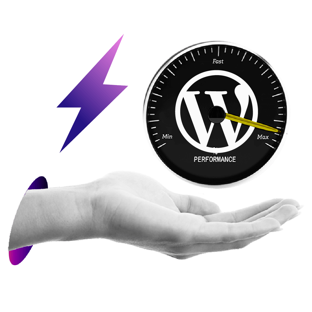 Fast WordPress Hosting