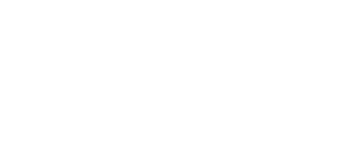 Princeton University