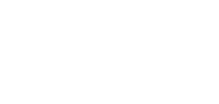 Hungry Howies Pizza