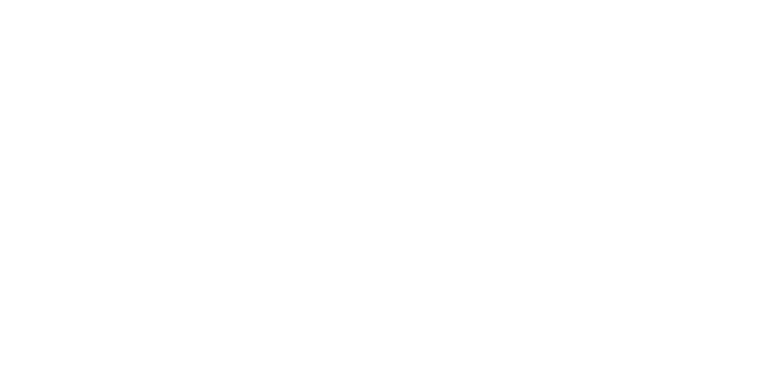 DigiSavvy