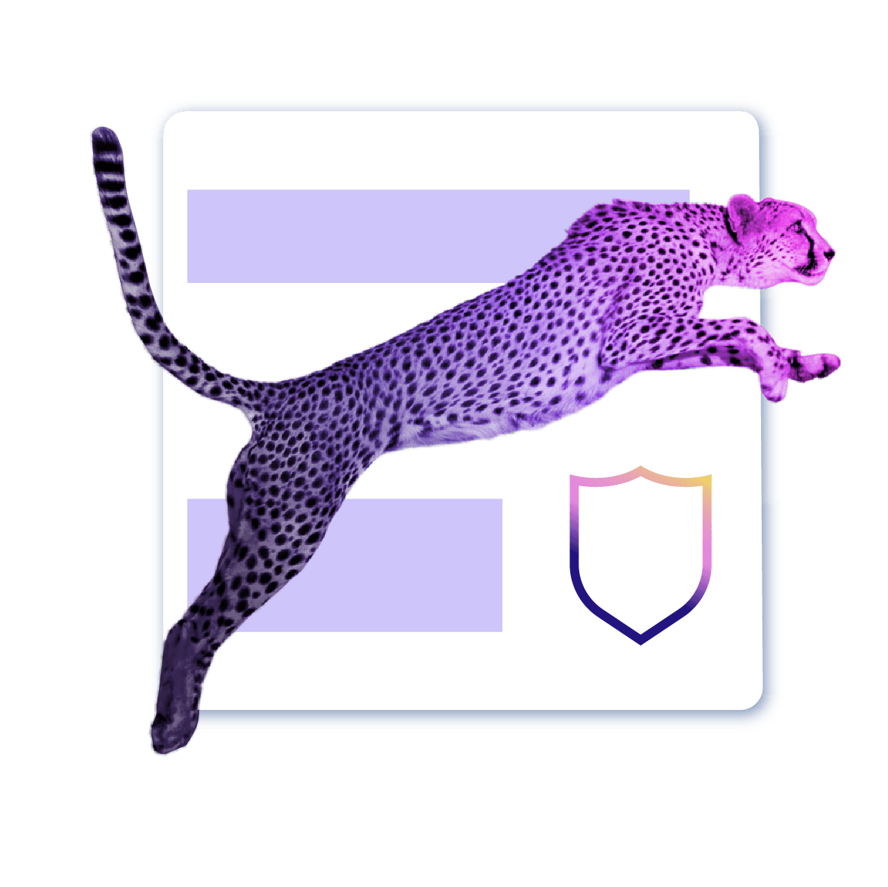 Enterprise WordPress