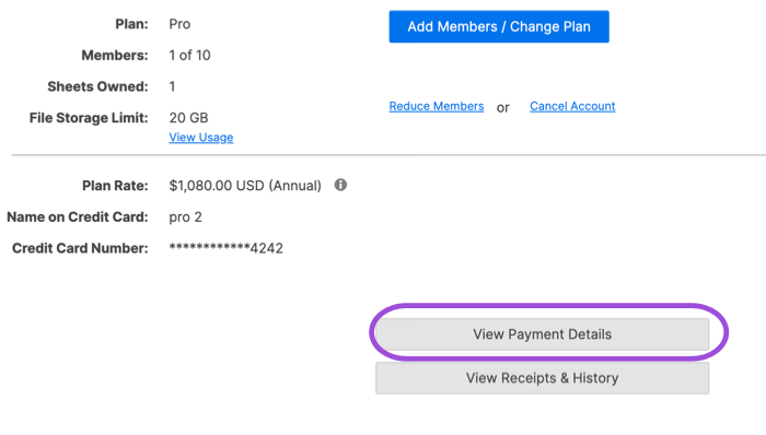 View payment details