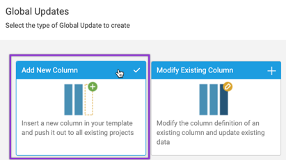 Add new column global update