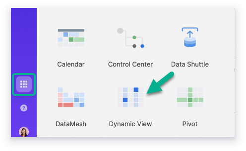 Dynamic View Details panel