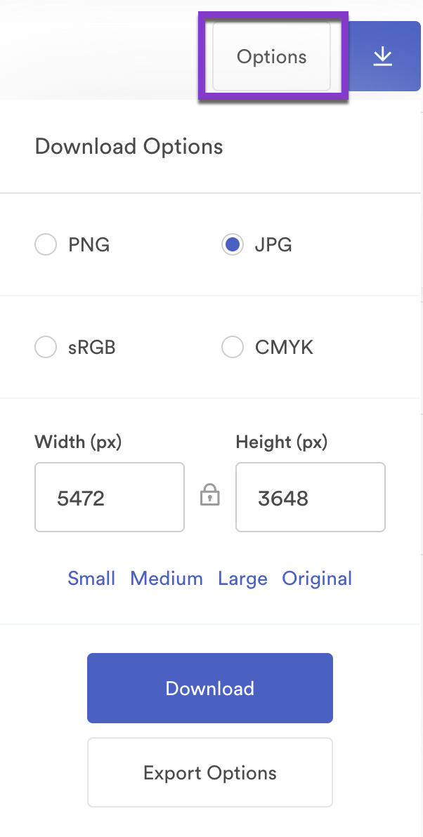 download individual assets