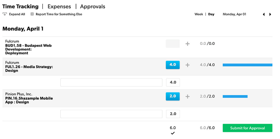 Example time sheet showing Day view with hours associated with different projects