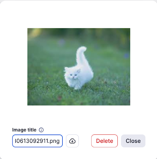 Image save options