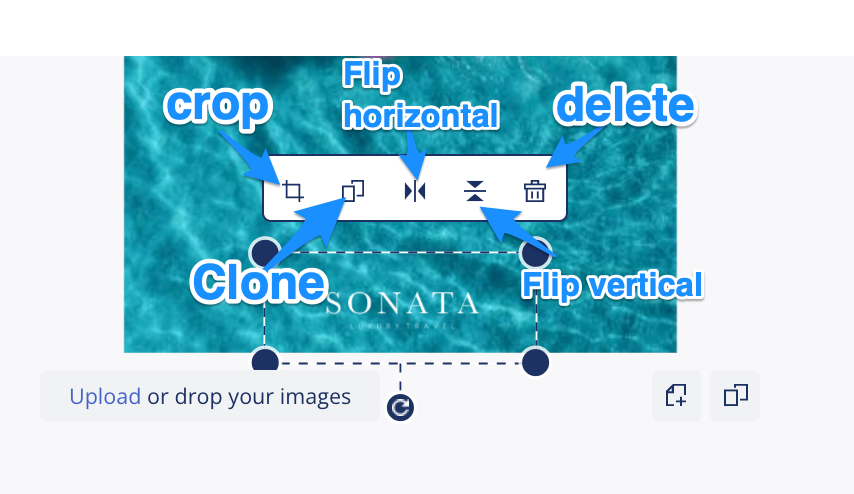 Brandfolder basic templating