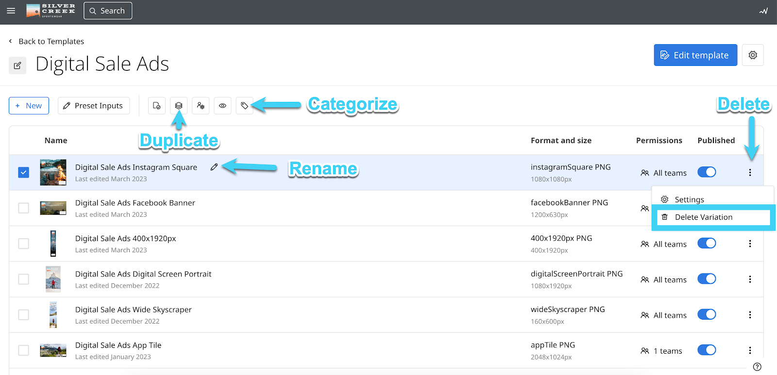 Template editor options