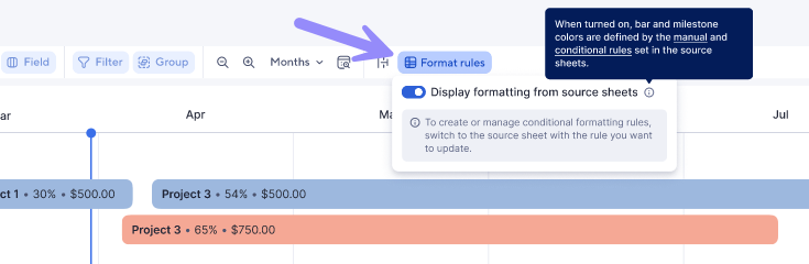 format rules in timeline report