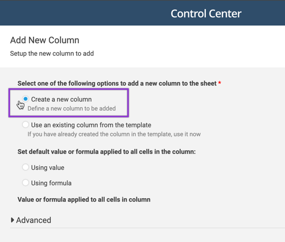 Create new column option