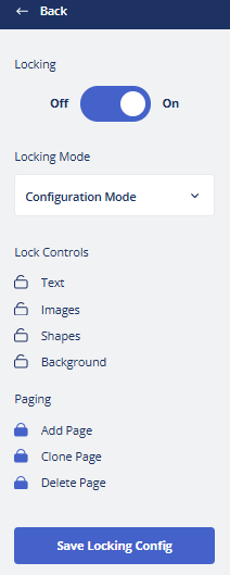 Brandfolder custom templates step 2: lock configurations