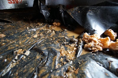 Dirty, wet, nasty crawl space