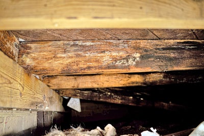 Wood rotting in a crawl space of a home