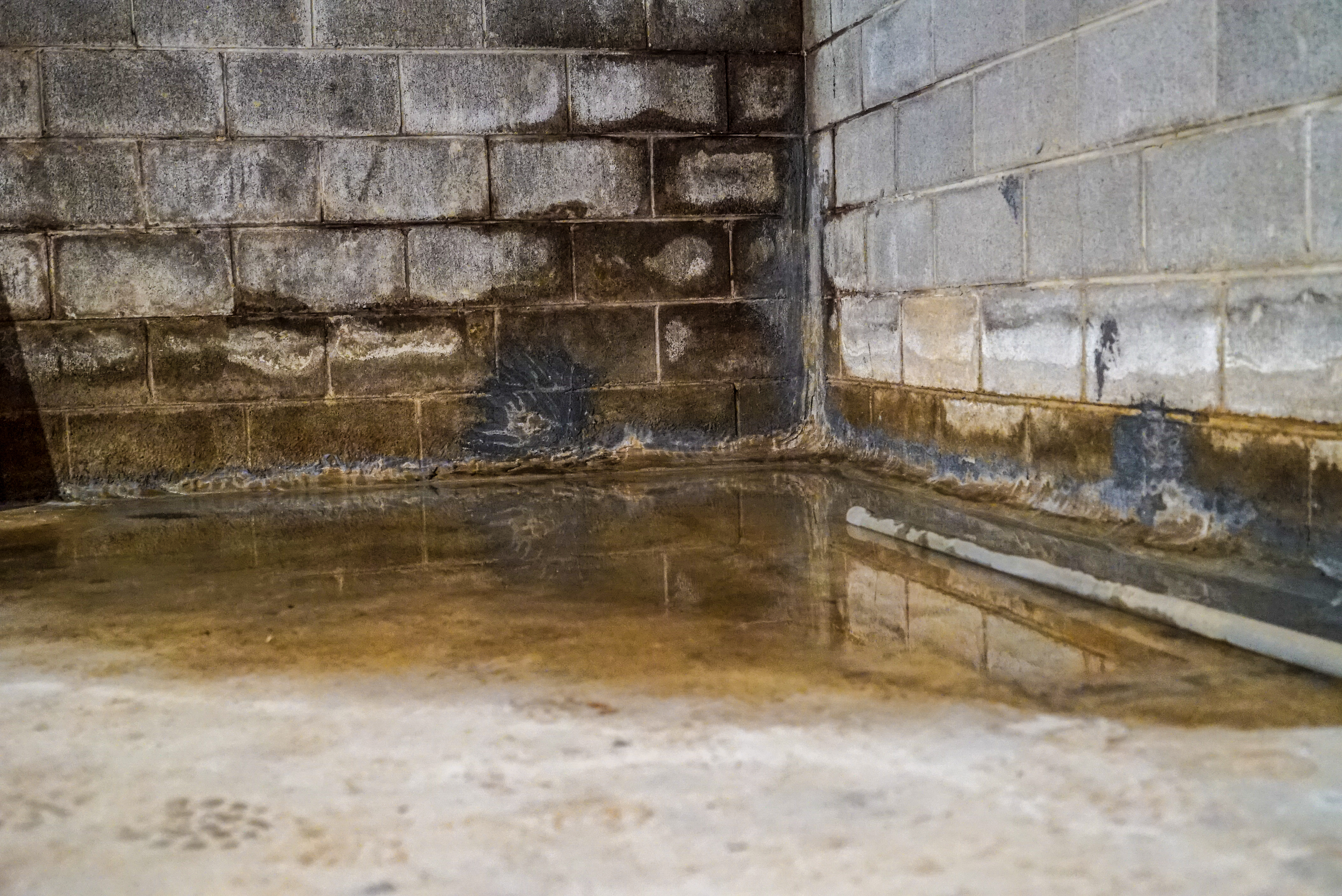 Water pooling in a basement due to a foundation crack