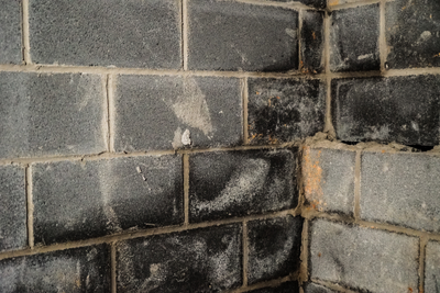 cement block wall with mold indicating leaking basement windows.