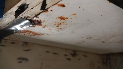 Mold on the ceiling of a basement.