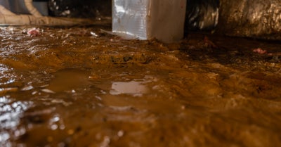 Muddy water in a crawl space.