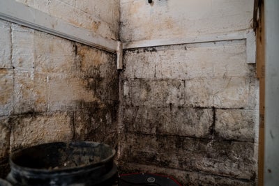 Visible mold on this basement wall that can cause major health effects for the people living there!