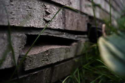 Bricks out of line due to settlement.
