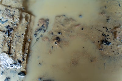 Murky, muddy water.