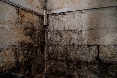 mold on basement walls