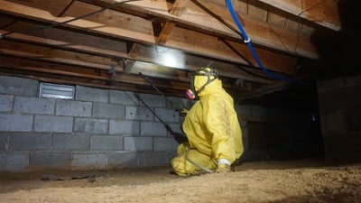 A professional in a crawlspace removing mold.