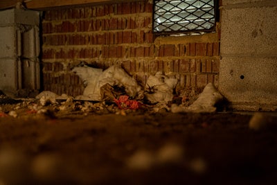 messy crawl space