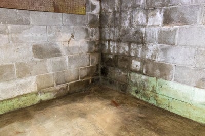 Green and white efflorescence staining a concrete block basement wall.