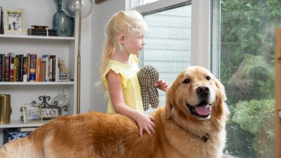 child and dog looking out the window