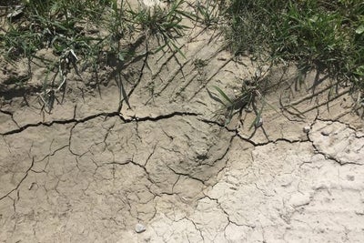 Dry drought soil.