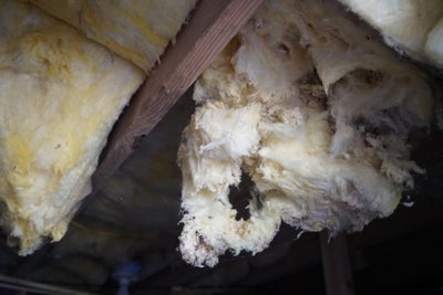 A crawl space insulation breaking down through support beams