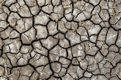 dry, cracked soil