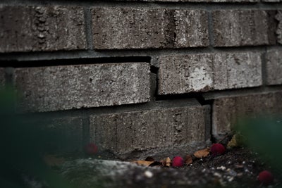 Crack in foundation wall.