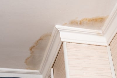 wet basement ceiling