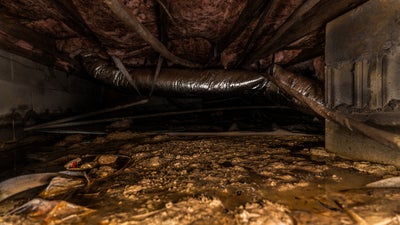 A musty and dirty crawl space that needs a repair to improve the health of the home