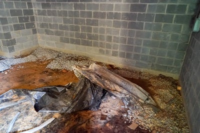 Ruined vapor barrier in a wet crawl space.