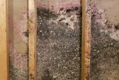 mold on wood crawl space beam